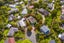 8 Palawan Place, Torbay, Auckland - Carousel 2