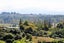 103 Westdale Road, Redwood Valley - Carousel 17