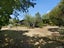 4 Wards Line, Morison Bush, Greytown - Carousel 10