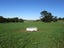 0 Ellison Rd, Norsewood - Carousel 8
