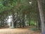 2421 Herbert-Hampden Road, Herbert - Carousel 17