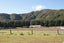 7 Jack Vaughan Grove, Wainuiomata, Lower Hutt - Carousel 7