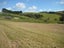 2 Pekama Drive, Cable Bay, Cable Bay - Carousel 7
