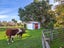 79 Oxford Street, Lansdowne, Masterton - Carousel 5