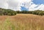 0 Dip Road, Kaeo, Kaeo - Carousel 14