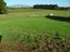 77 Day Road, Te Awamutu, Ohaupo - Carousel 9