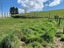 6B Gresham Street, Geraldine, Geraldine - Carousel 1