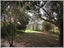 13 Robbie Street, Foxton Beach, Foxton - Carousel 5