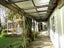 33 Fraser Street, Ross - Carousel 17