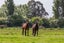 322 Perymans Road, Christchurch - Carousel 22
