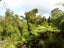 35 Mokihinui Preserve, Seddonville, Westport - Carousel 21