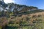 32 Tiri Road, ONEROA, WAIHEKE ISLAND - Carousel 7