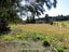 65 Buller Road, Reefton, Reefton - Carousel 26