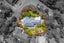 2 Rakau Grove, Stokes Valley, Lower Hutt - Carousel 3