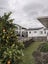 79A Tiverton Road, Avondale, Auckland - Carousel 23