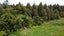 0 Wangapeka Road, Little Wanganui, Karamea - Carousel 2