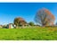 31 Lee Martin Road, Tamahere, Hamilton - Carousel 28