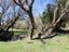 1395 Opaki Kaiparoro Road, Masterton - Carousel 17
