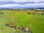 216B Ahiaruhe Road, Ahiaruhe, Carterton - Carousel 3