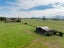 118 Costall Road, Wardville, Waharoa - Carousel 31