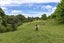 1439 Old North Road, Helensville, Helensville - Carousel 25