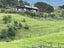 965 Te Waitere Road, Taharoa, Te Kuiti - Carousel 13