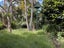 19 James Mcleod Road, Helensville - Carousel 13