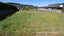 5 Coprosma Crescent, Waipahihi, Taupo - Carousel 1