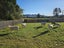 736 State Highway 7, Dobson, Greymouth - Carousel 21
