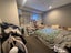302/37 Symonds Street, Auckland Central, Auckland - Carousel 5