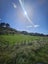 57 State Highway 3, Marybank, Whanganui - Carousel 3