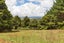 0 Dip Road, Kaeo, Kaeo - Carousel 3