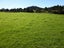 543 Three Mile Bush Road, Te Kamo, Whangarei - Carousel 25