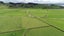 0 Wharekawa Road, Oue, Kaikohe - Carousel 2