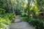 7 Ngaio Road, Titirangi, Auckland - Carousel 19