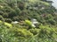 38 Coombe Hay Terrace, Careys Bay, Dunedin - Carousel 1
