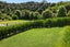 87 Pakanga Grove, Pyes Pa, Tauranga - Carousel 22