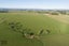 0 State Highway 1, Bulls, Marton - Carousel 8
