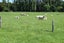 72 Clifden Highway, Tuatapere, Tuatapere - Carousel 12