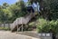 533A Broadway, Miramar, Wellington - Carousel 25