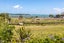 49 Tahatai Road, Oneroa, Waiheke Island - Carousel 21