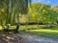 220 Russley Road, Avonhead, Christchurch - Carousel 5