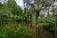 22 Waikarekare Lane, Karekare, Auckland - Carousel 7