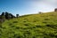 0 Ruatiti Road, Ruatiti, Raetihi - Carousel 7