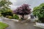104 Pages Road, Marchwiel, Timaru - Carousel 19