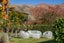 50 Orchard Road, Wanaka, Wanaka - Carousel 20