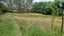 0 Pahiatua Mangahao Rd, Mangamutu, Pahiatua - Carousel 5