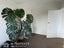 7/11 Lovelock Avenue, Mount Eden, Auckland - Carousel 13