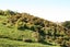 52 Cracroft Drive, Putiki, Whanganui - Carousel 5
