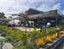 6/25 Jabuka Street, Glen Eden, Auckland - Carousel 15